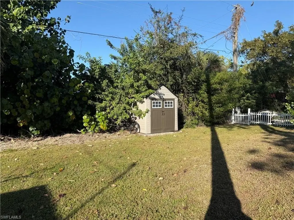 Picture 15