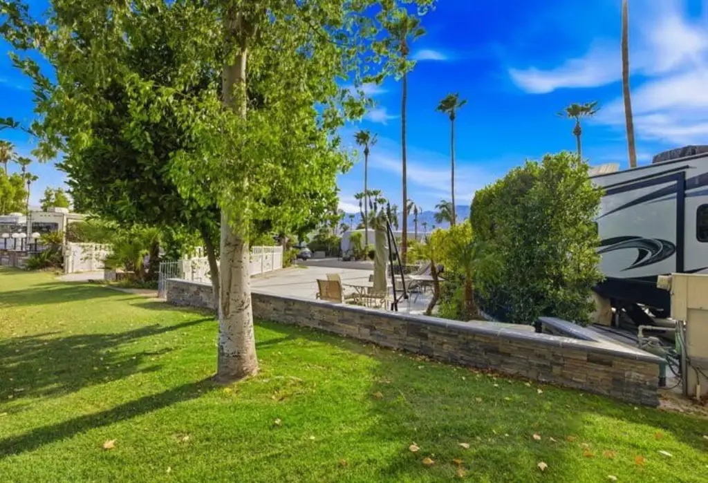 Picture 3