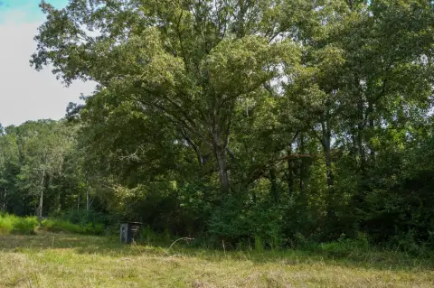 Prime Hunting Land in Crystal Springs