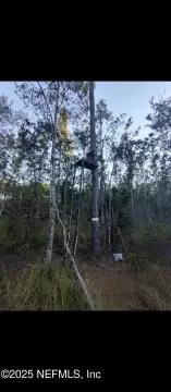 Glen St. Mary Land Parcel