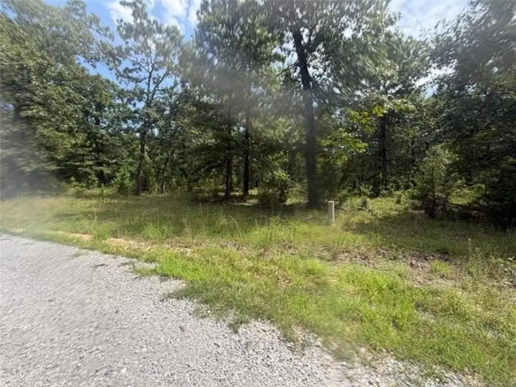 Picture 6