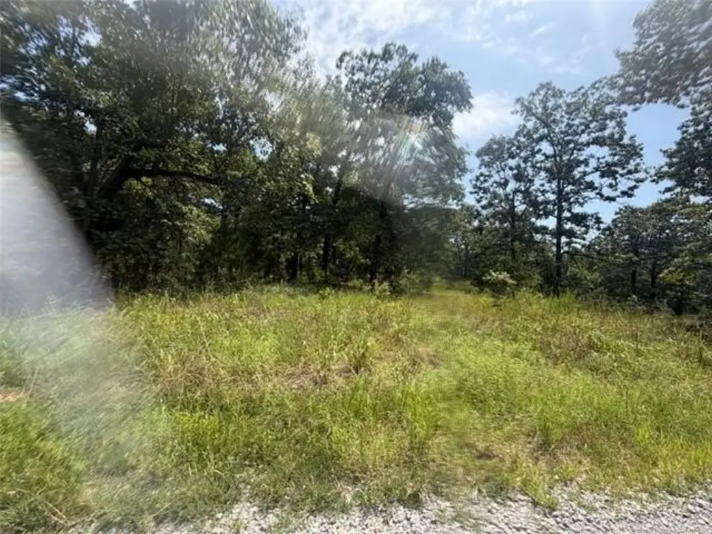 Picture 7