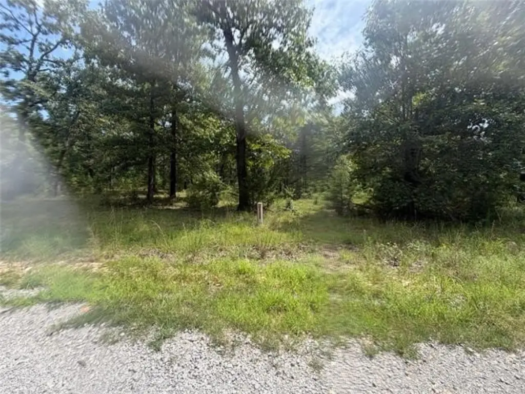 Picture 5