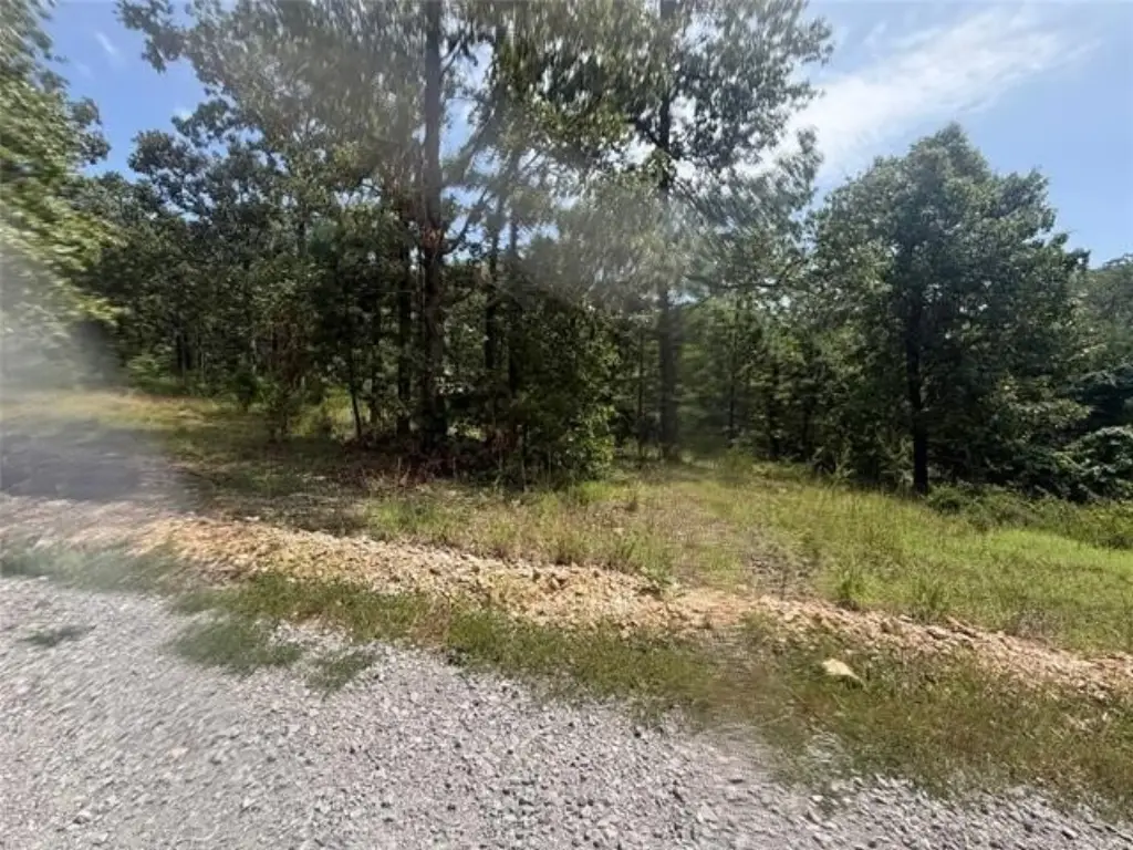 Picture 9