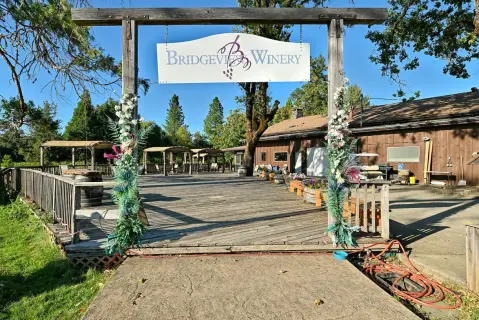Established Winery and Vineyard Opportunity