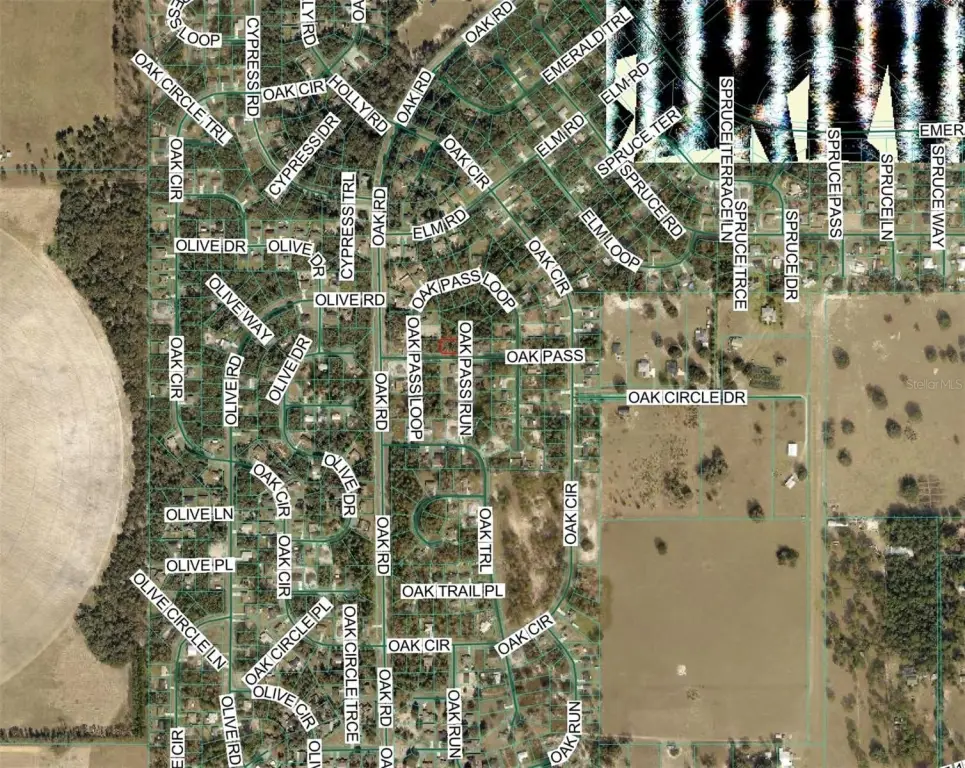 Picture 3