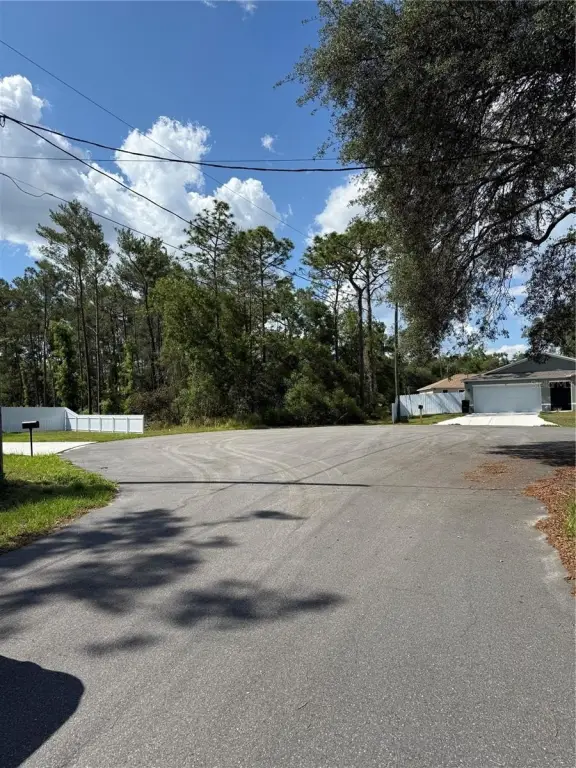 Picture 15