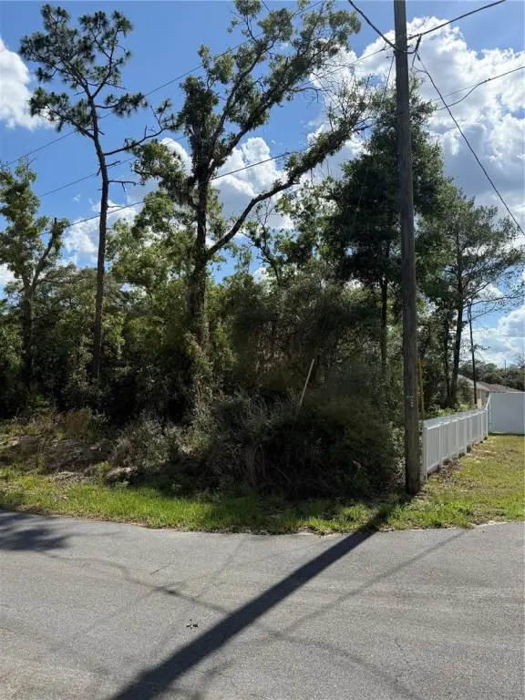 Picture 10
