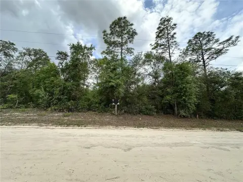 Residential Lot in Archer, FL
