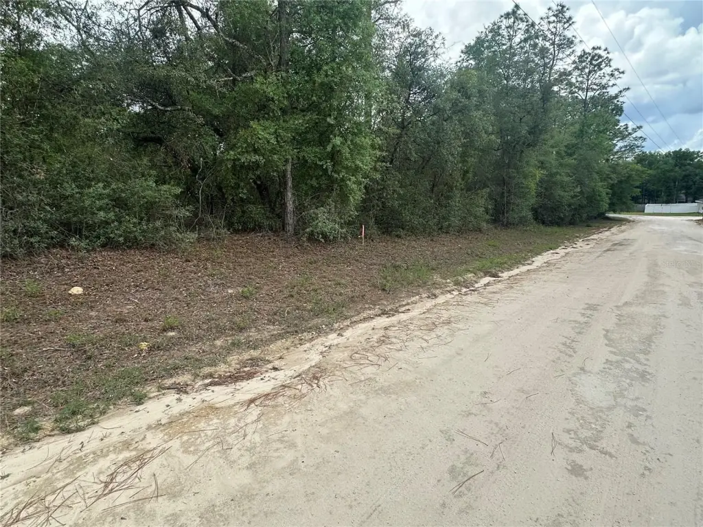 Picture 11