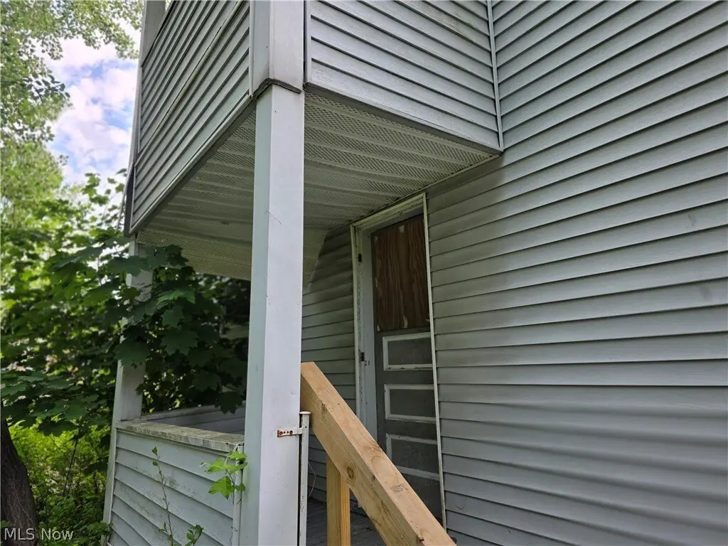 Picture 8