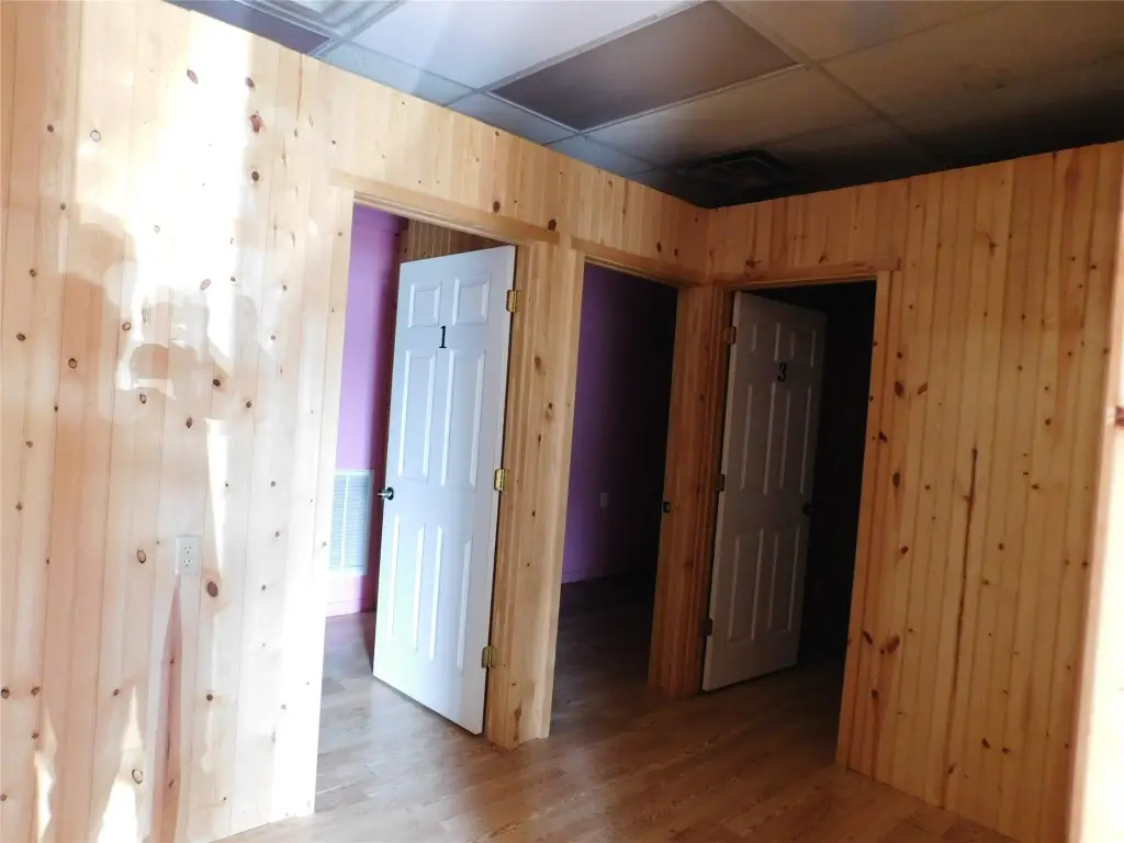 Picture 5