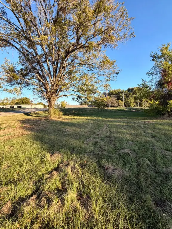 Picture 6