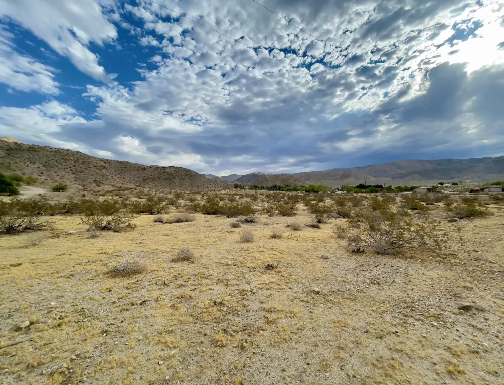 Picture 4