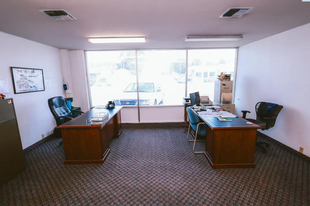 Picture 9