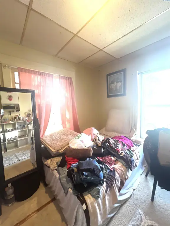 Picture 8