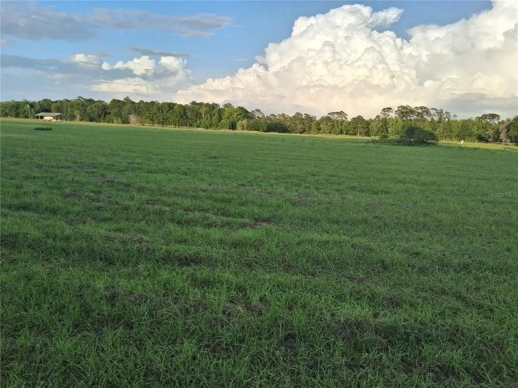 Picture 12