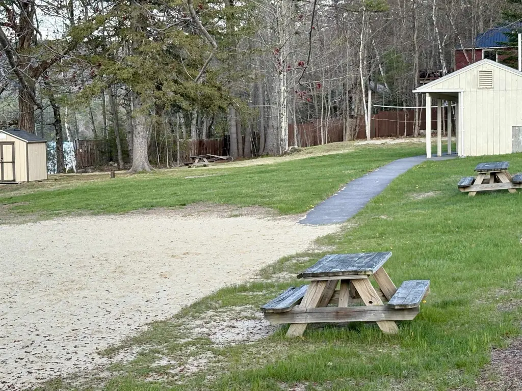 Picture 12