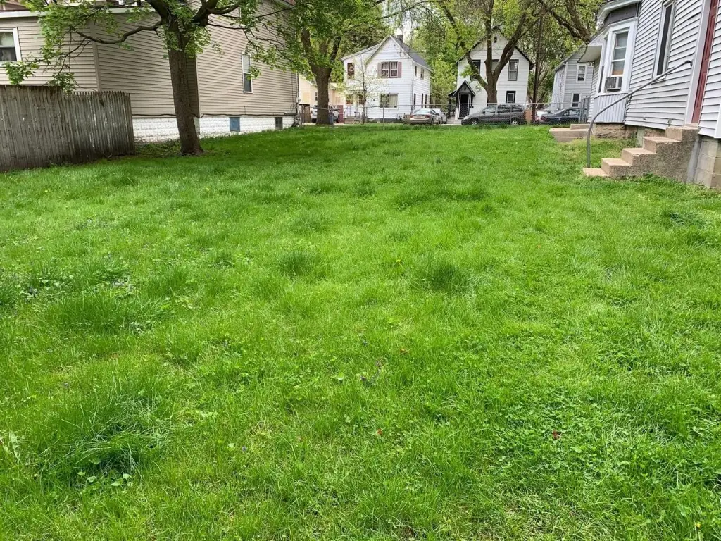 Picture 11
