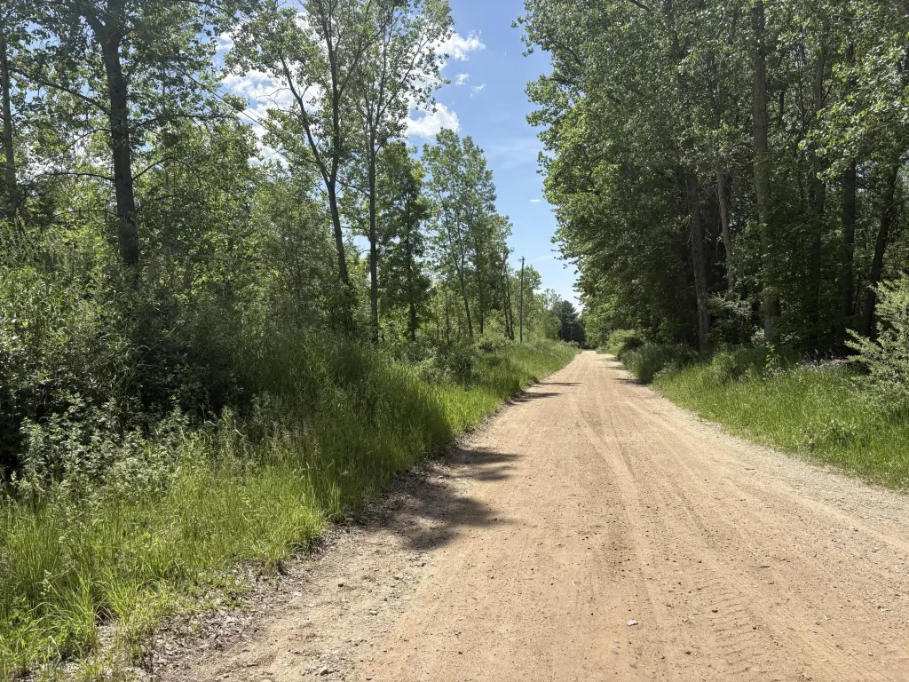 Picture 24