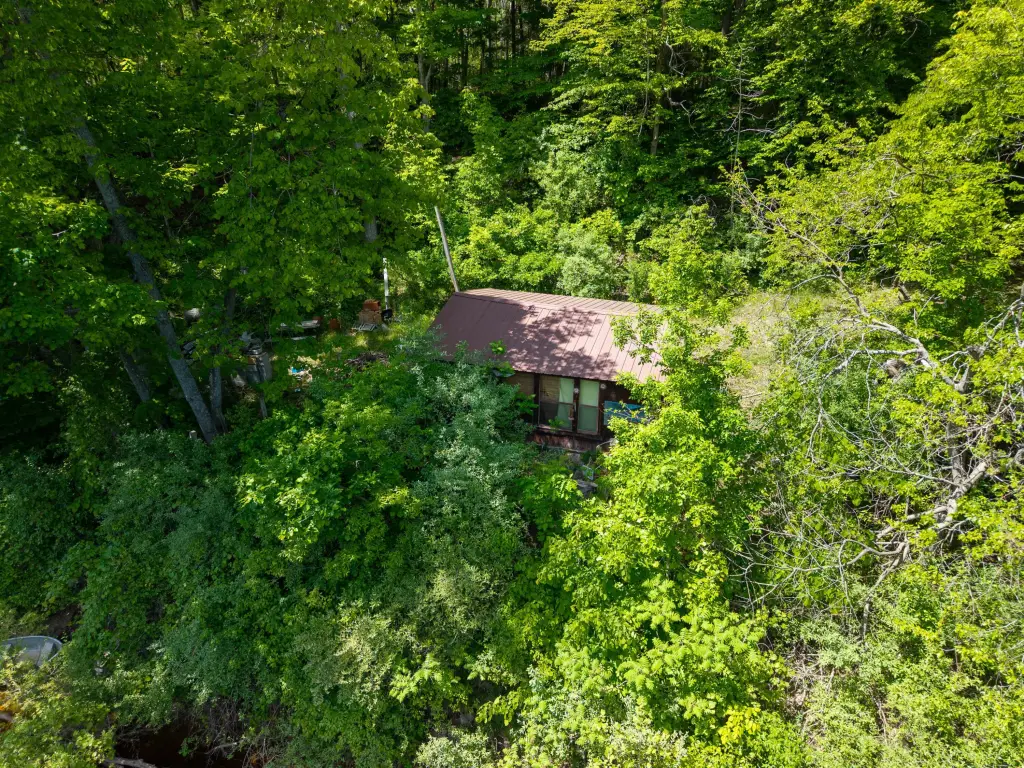Picture 2