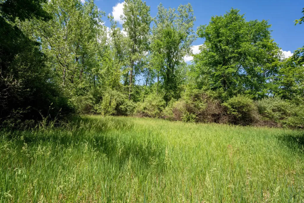 Picture 17