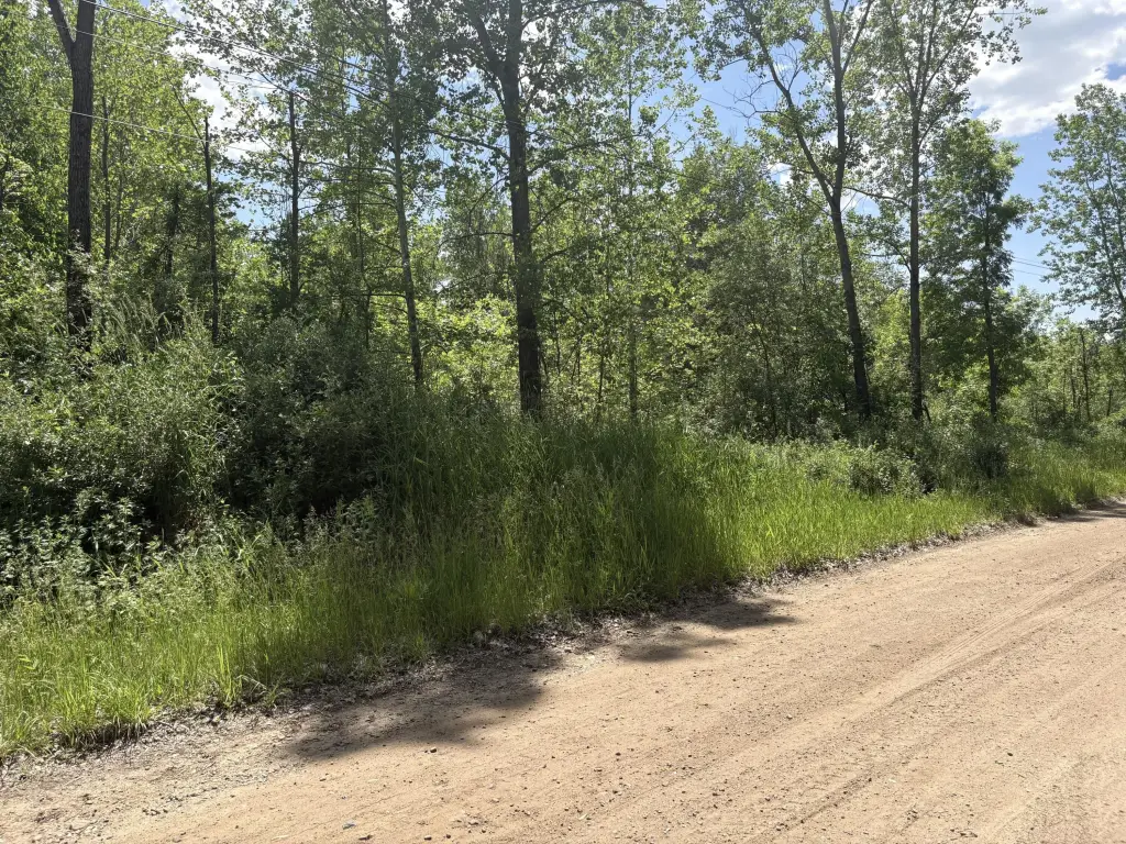 Picture 25