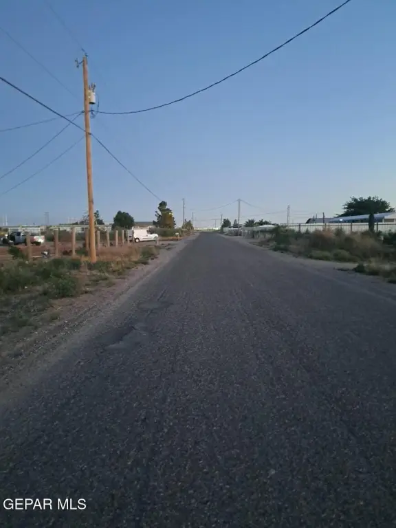 Picture 5