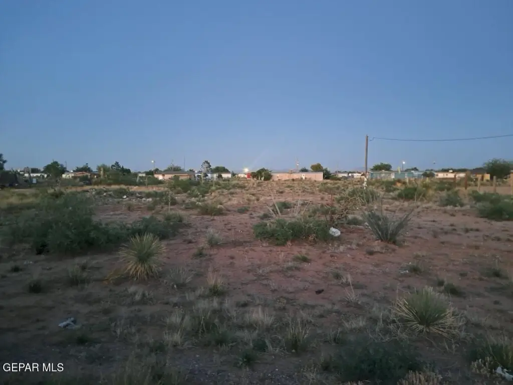 Picture 4