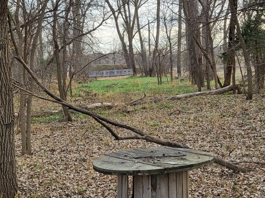 Picture 8