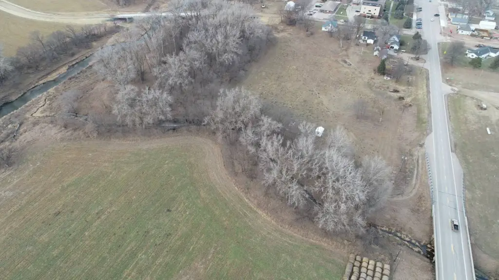 Picture 3