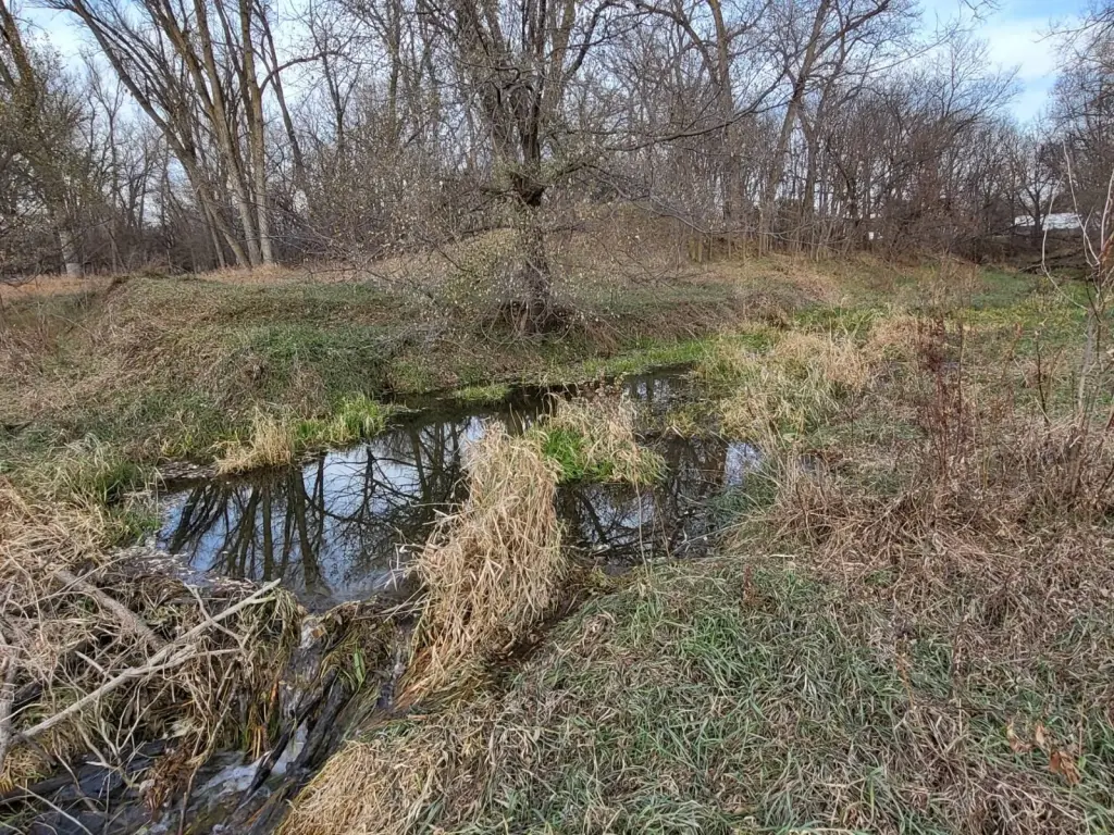 Picture 19