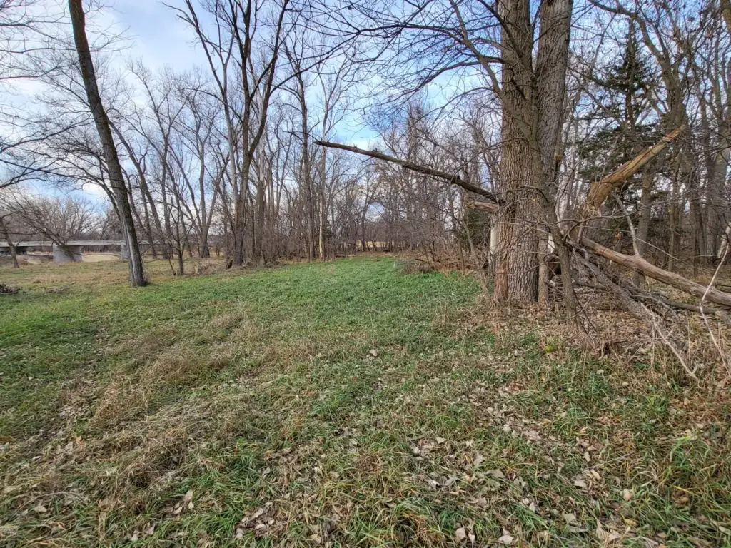 Picture 5