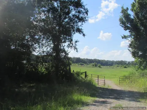 72.5 Acres Open Pastureland