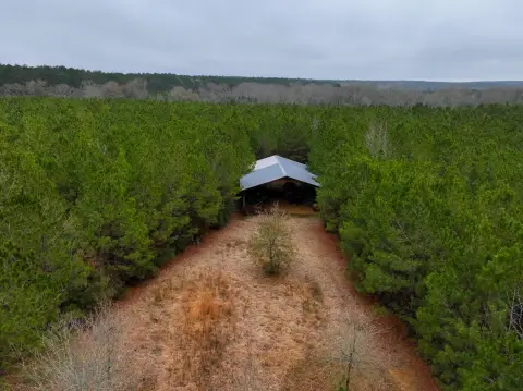 227 Acres Vacant Land