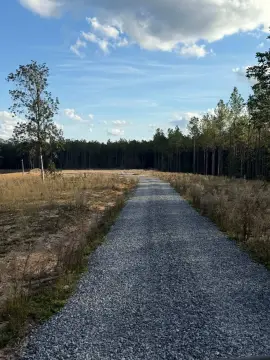 31 Acres Vacant Land Ready