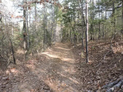 15 Acres Bordering National Forest