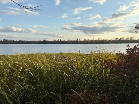 Wooded Riverfront Land Parcel