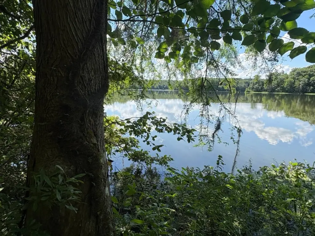 Picture 20