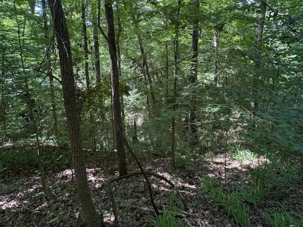 Picture 16