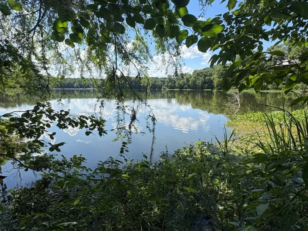 Picture 2