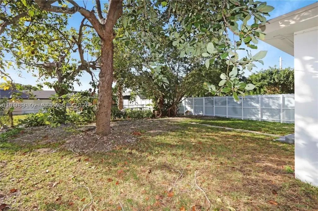 Picture 27