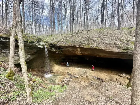 Land with Extensive Road Frontage