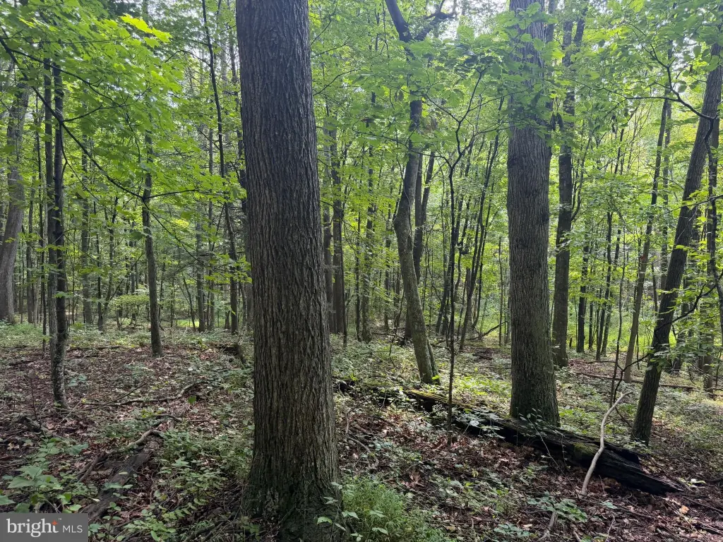 Picture 48