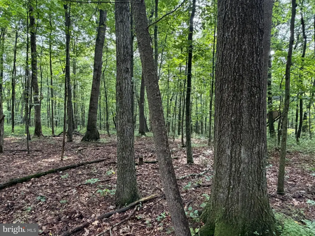 Picture 43