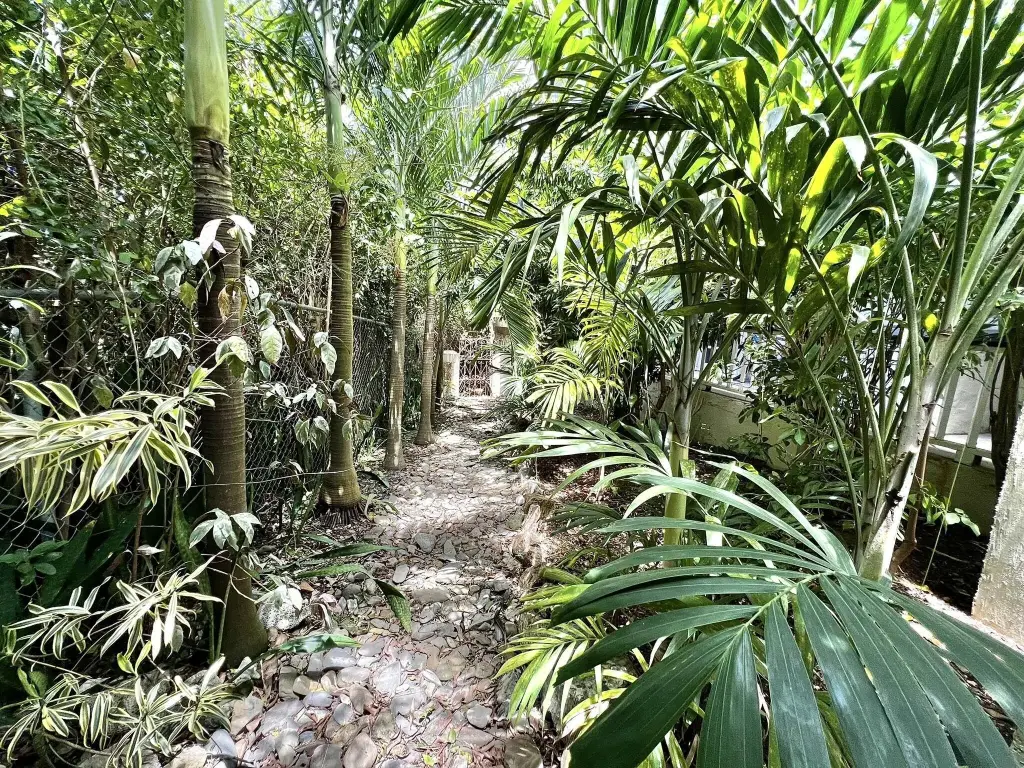 Picture 24