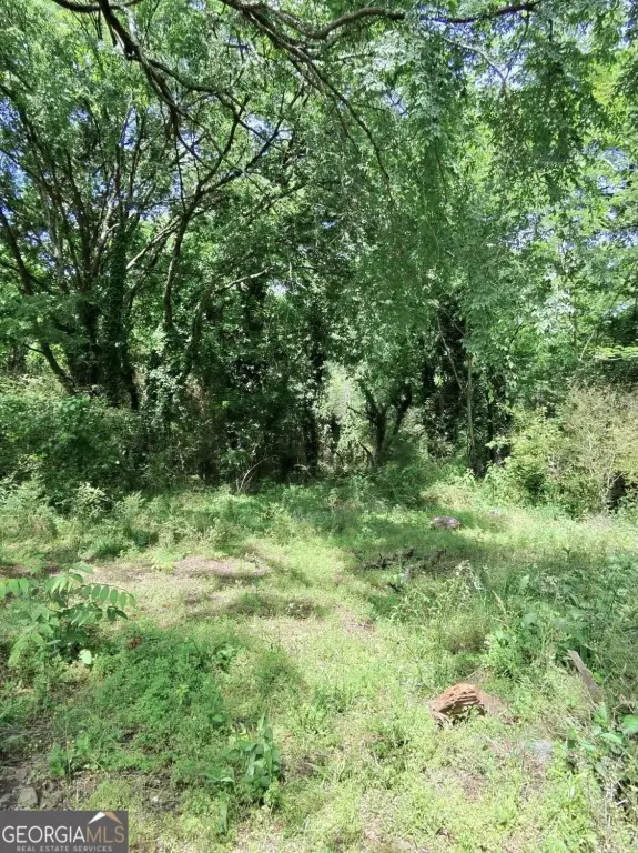 Picture 16