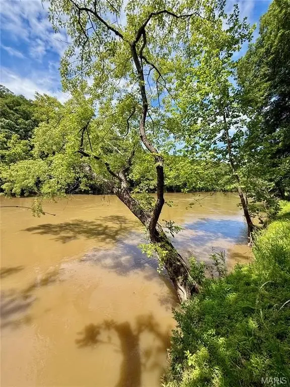 Picture 23