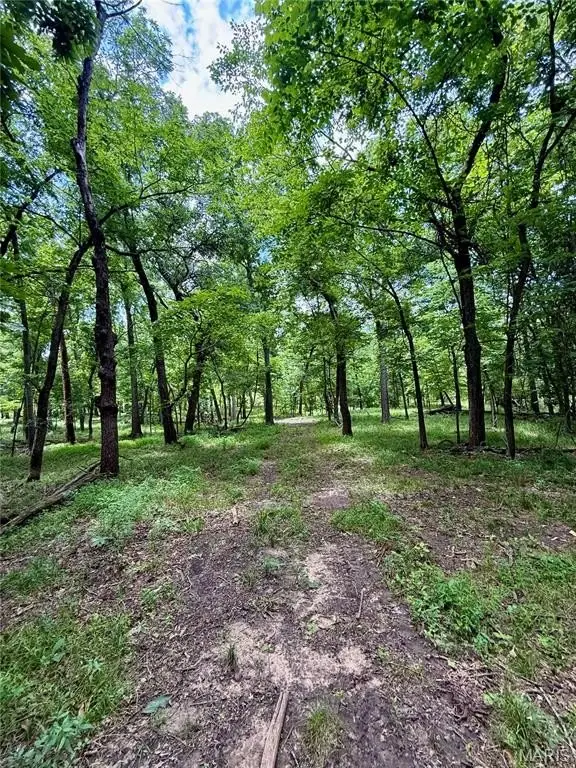 Picture 14