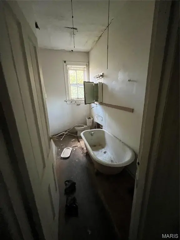 Picture 21